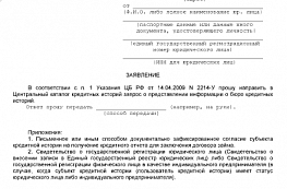 Заявление на исправление кредитной истории: как подать и что делать при отказе